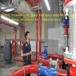 BAO-TRI11193