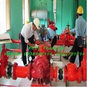 bao-duong-hai-duong26